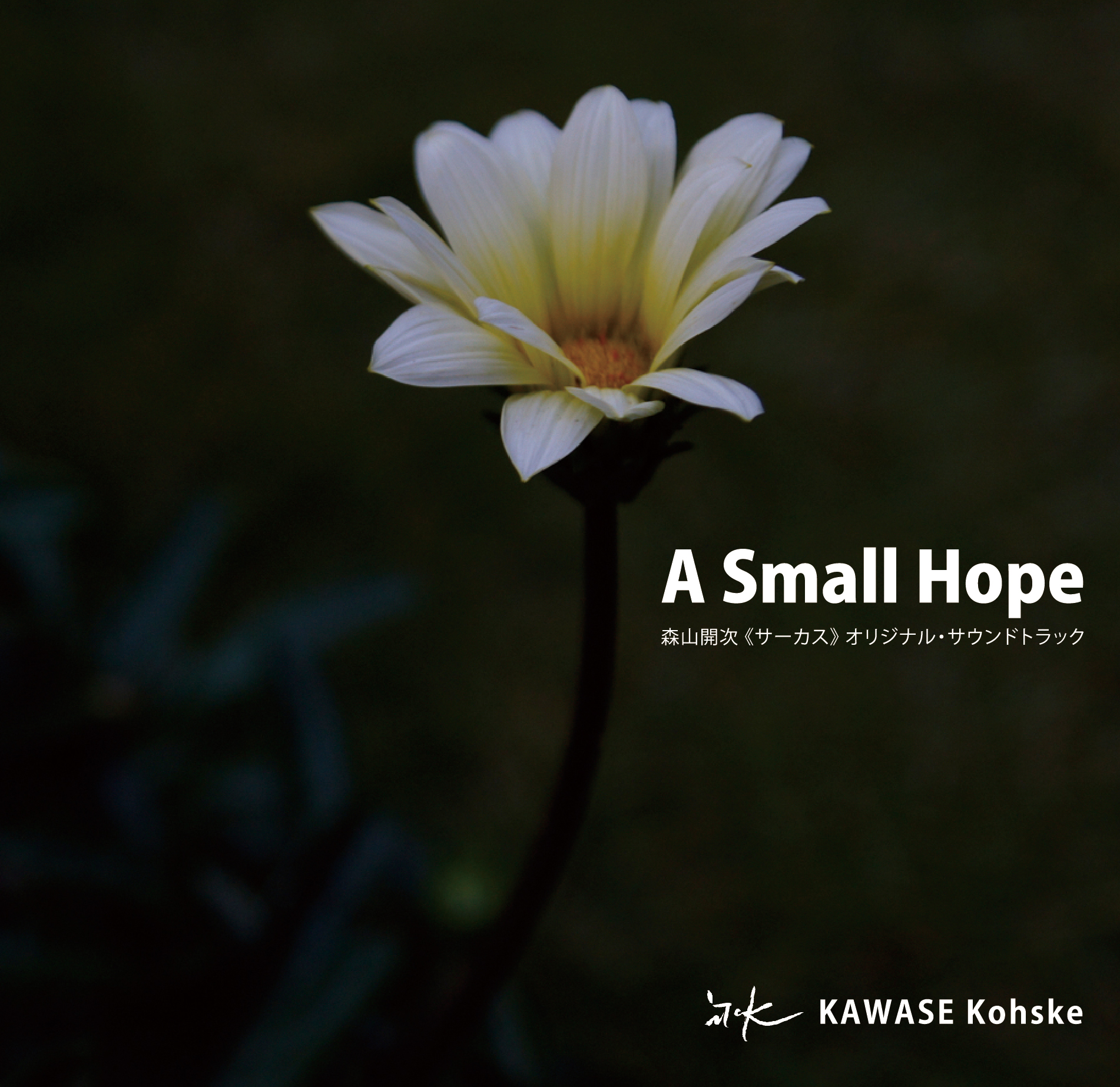 A Small Hope [ALBUM] (2015) - 川瀬浩介｜KAWASE Kohske
